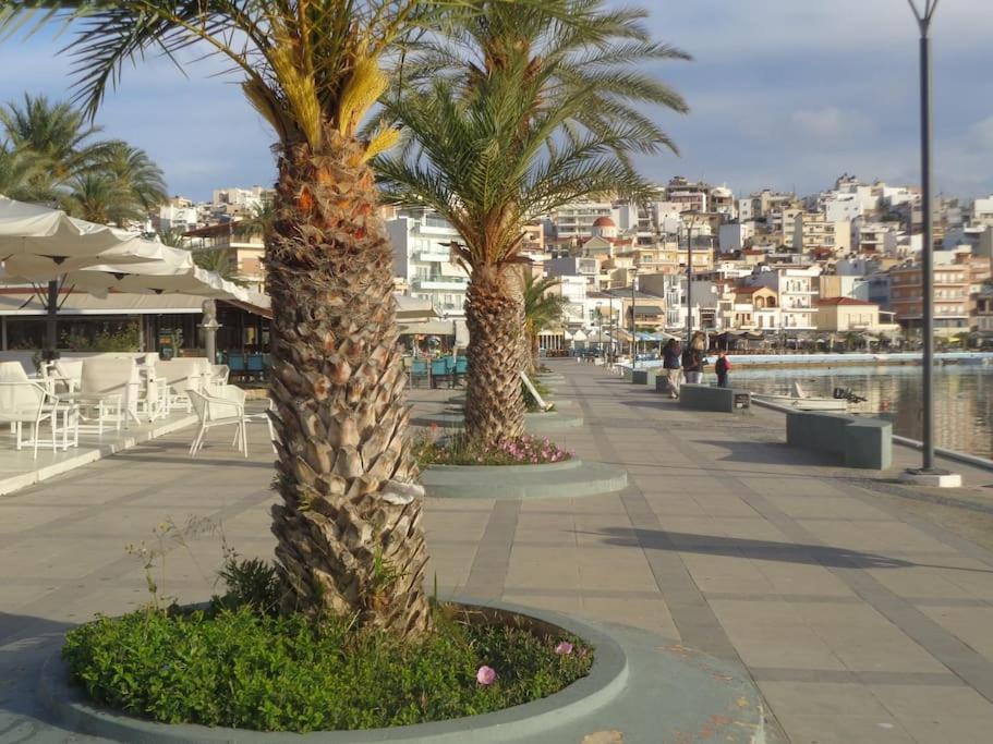 Seashell Apartment Sea View, Castle View 200Metres From The Beach Sitia  Exteriér fotografie
